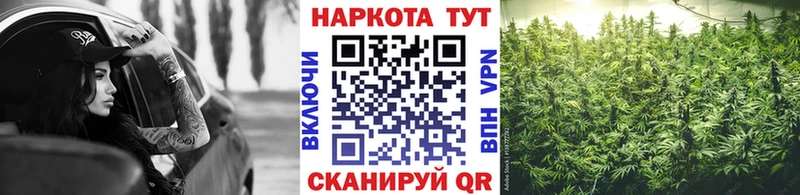 Продажа наркотиков Асино СК  Меф  Конопля 