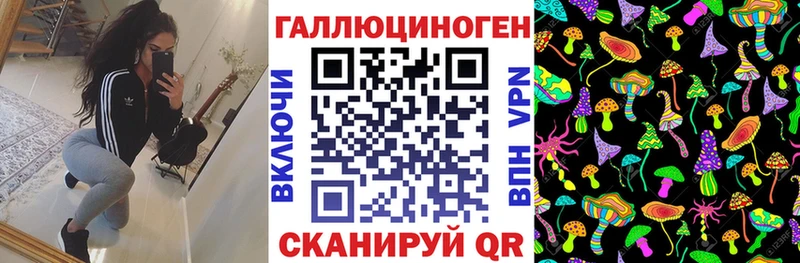 Псилоцибиновые грибы GOLDEN TEACHER Асино